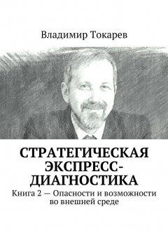 Владимир Токарев - Стратегическая экспресс-диагностика. Книга 2 – Опасности и возможности во внешней среде