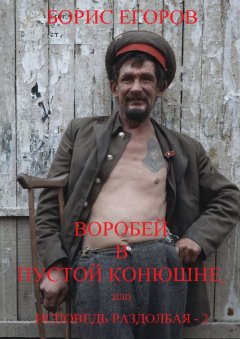 Борис Егоров - Воробей в пустой конюшне, или Исповедь раздолбая – 2