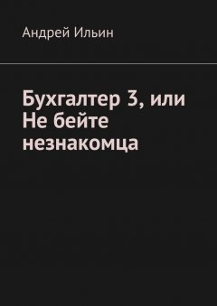 Андрей Ильин - Бухгалтер 3, или Не бейте незнакомца