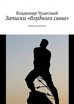 Владимир Чудесный - Записки «блудного сына»