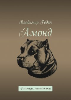 Владимир Родич - Амонд