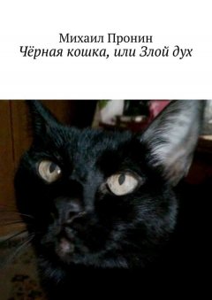 Михаил Пронин - Чёрная кошка, или Злой дух