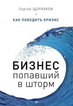 Сергей Щербаков - Бизнес, попавший в шторм. Как победить кризис