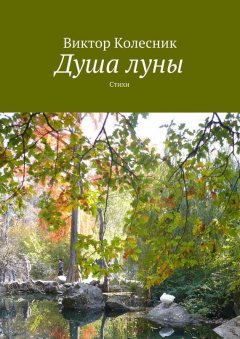 Виктор Колесник - Душа луны