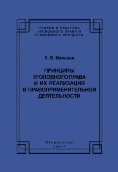 Василий Мальцев - Принципы уголовного права и их реализация в правоприменительной деятельности