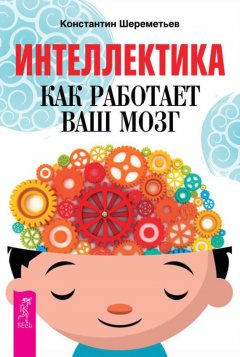 Константин Шереметьев - Интеллектика. Как работает ваш мозг