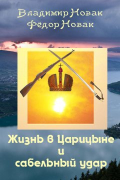 Владимир Новак - Жизнь в Царицыне и сабельный удар