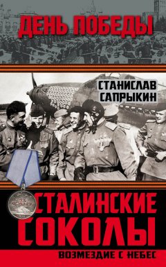 Станислав Сапрыкин - Сталинские соколы. Возмездие с небес