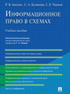 Роман Амелин - Информационное право в схемах. Учебное пособие