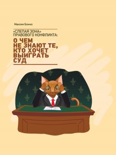 Максим Божко - «Слепая зона» правового конфликта: о чем не знают те, кто хочет выиграть суд