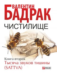 Валентин Бадрак - Чистилище. Книга 2. Тысяча звуков тишины (Sattva)