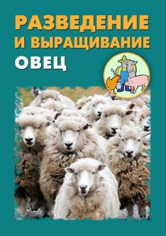 Илья Мельников - Разведение и выращивание овец