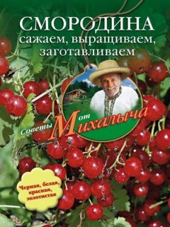 Николай Звонарев - Смородина. Сажаем, выращиваем, заготавливаем