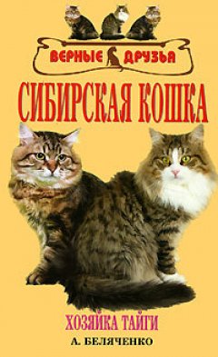 Андрей Беляченко - Сибирская кошка