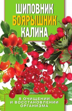 Алла Нестерова - Шиповник, боярышник, калина в очищении и восстановлении организма