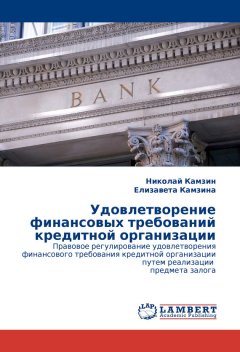Николай Камзин - Удовлетворение финансовых требований кредитной организации