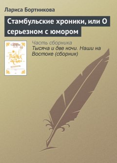 Лариса Бортникова - Стамбульские хроники, или О серьезном с юмором