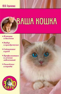 Юлия Сергеенко - Ваша кошка