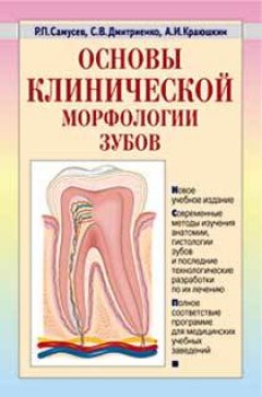 Рудольф Самусев - Основы клинической морфологии зубов: учебное пособие