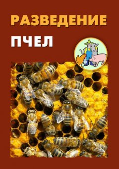 Илья Мельников - Разведение пчел
