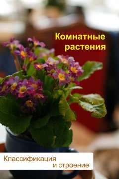 Илья Мельников - Комнатные растения. Классификация и строение