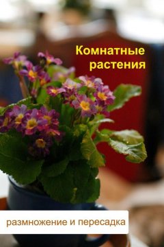 Илья Мельников - Комнатные растения. Размножение и пересадка