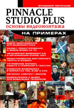 Владимир Молочков - Pinnacle Studio Plus. Основы видеомонтажа на примерах