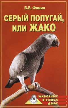 Е. Фомин - Серый попугай жако